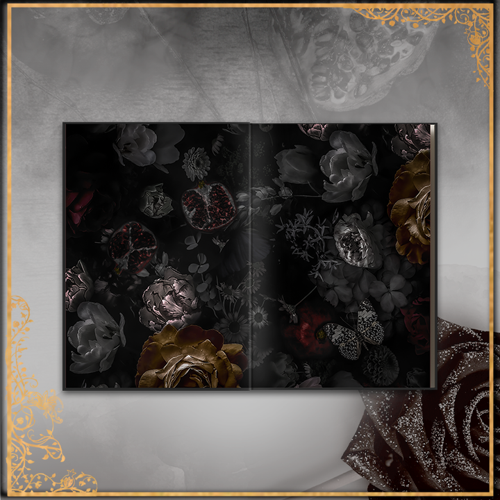 The Boxed set of Claiming Innocence + Chaining Beauty