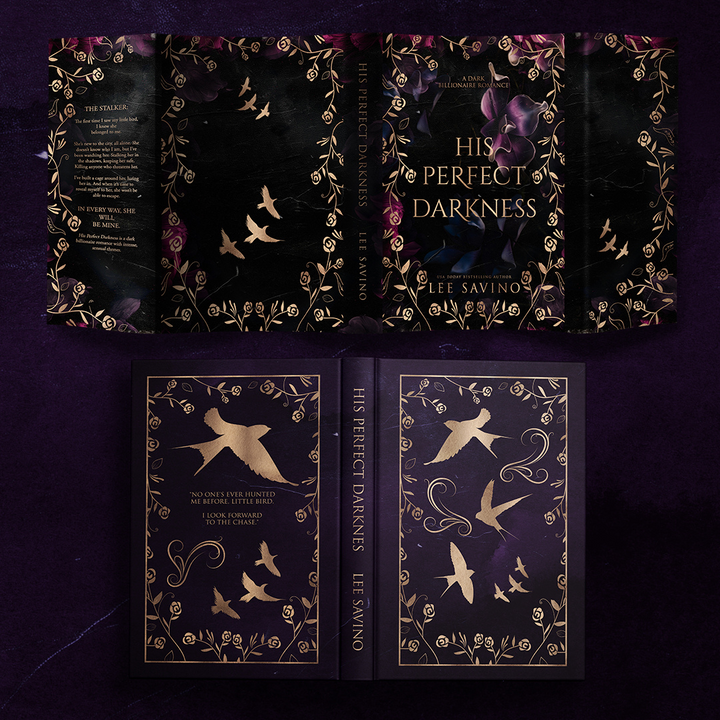 1. His Perfect Darkness